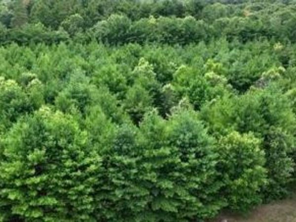 L16 Sandy Pines Court, Redgranite, WI 54970