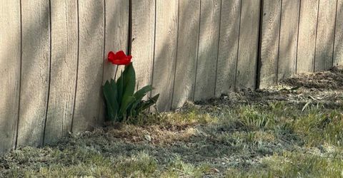 7075 Stratus Street, Winnemucca, NV 89445 Photo