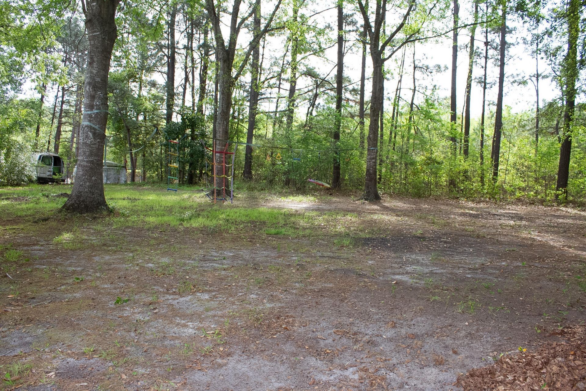 405 Treeline Drive Photo 7