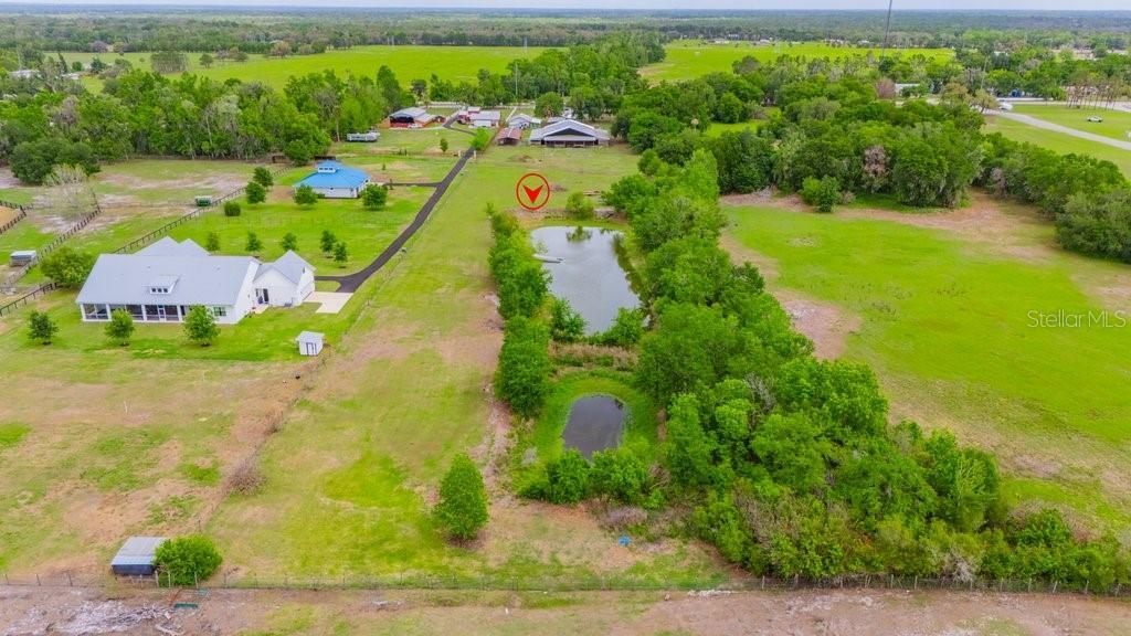 7820 Lithia Pinecrest Road, Lithia, FL 33547 Photo