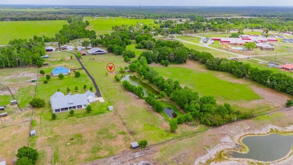 7820 Lithia Pinecrest Road, Lithia, FL 33547 Photo