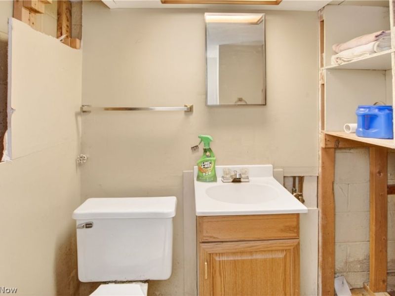 1516 Sunview Road, Lyndhurst, OH 44124 Photo 27