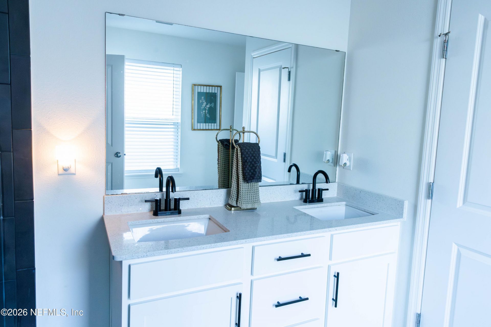 3341 Loofah Place, Green Cove Springs, FL 32043 Photo