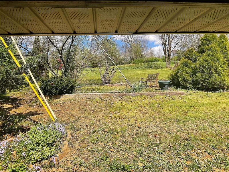 5551 Blue Licks Pike, Mount Olivet, KY 41064 Photo 27