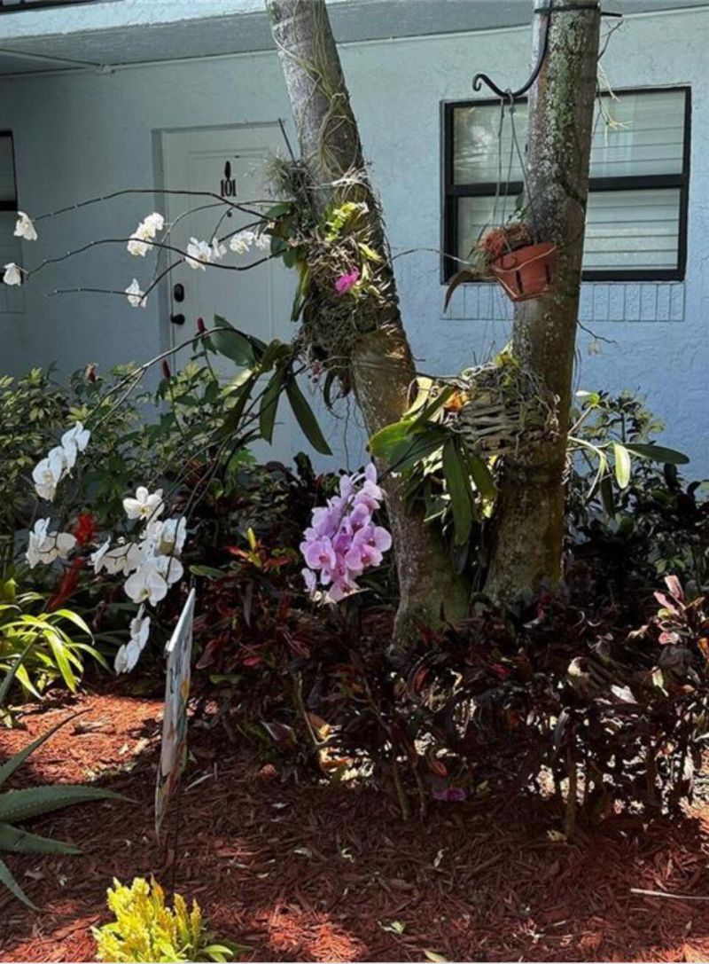 1975 SE 3rd Street, Unit 403, Deerfield Beach, FL 33441 Photo