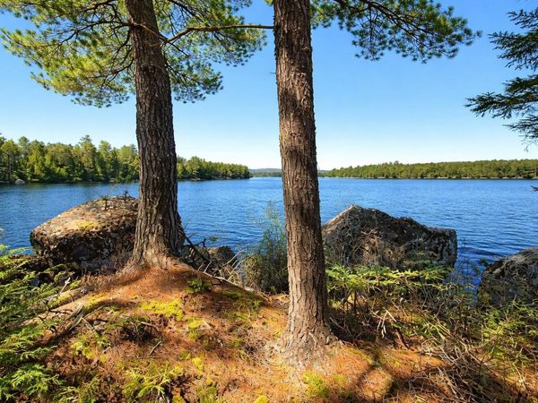 0 Cody Way, Lakeville, ME 04487