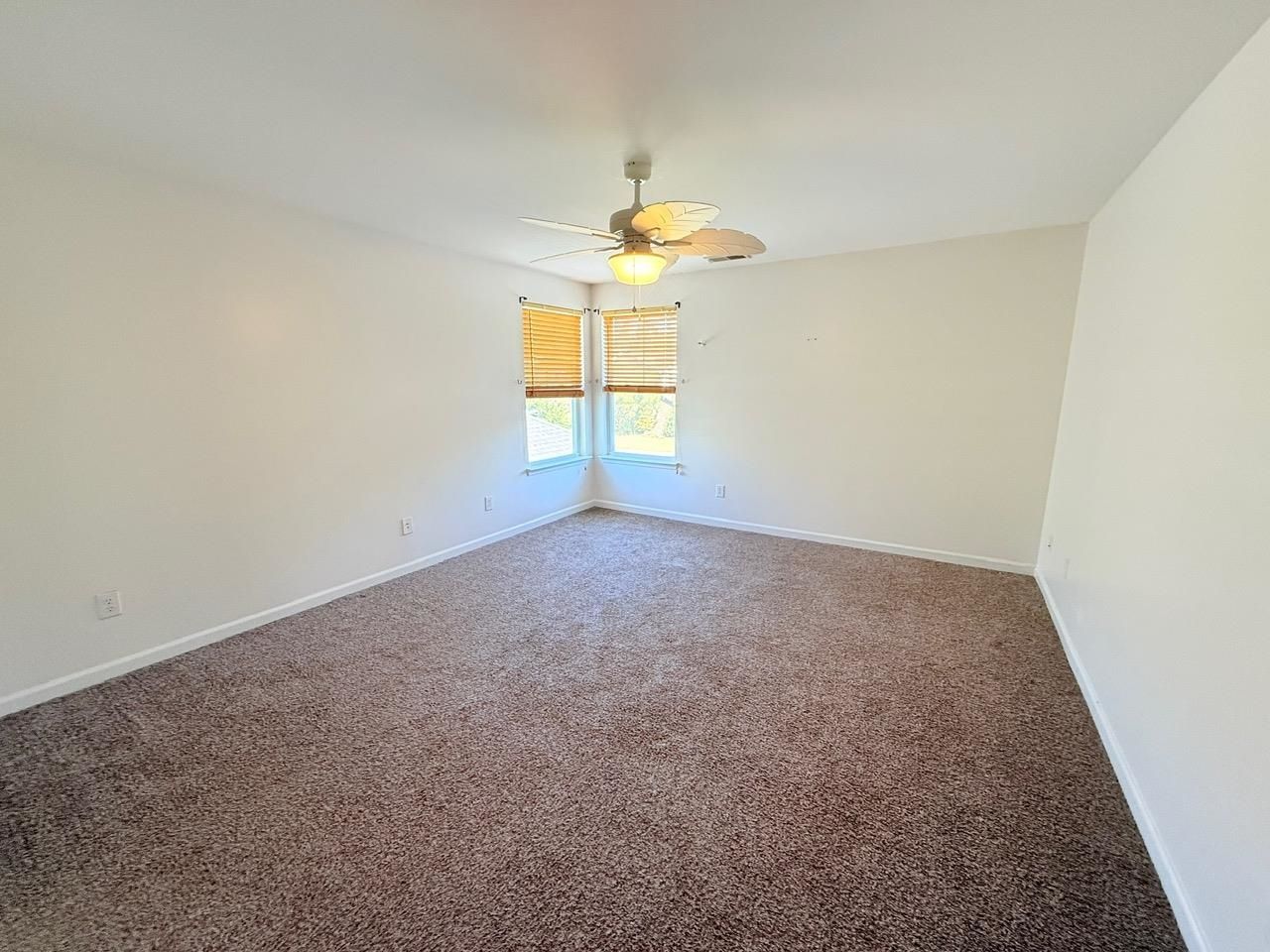 915 Oglethorpe Dr. Photo 12
