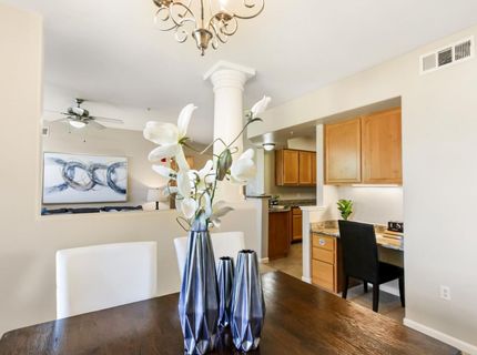 1100 Moon Cir #1121, Unit 1121, Folsom, CA 95630 Photo