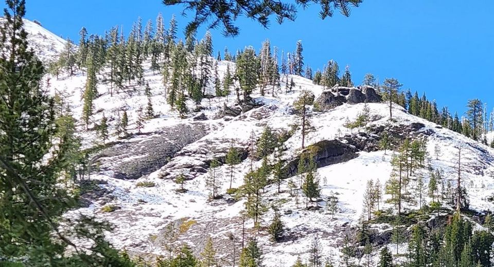 1539 Mineral Springs Trail, Alpine Meadows, CA 96146 Photo