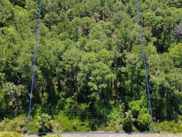 0 Apricot Avenue, Eustis, FL 32736