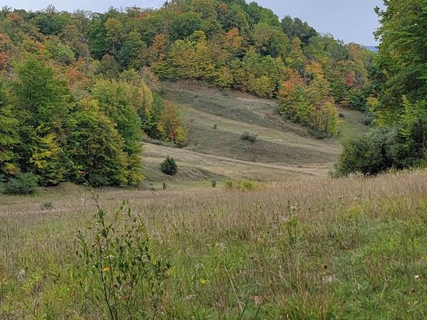 Crossover Drive N, Bellaire, MI 49615