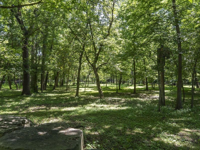 368 Clemson Street, Columbus, OH 43230 Photo 42