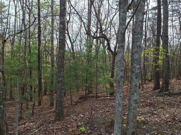 0 Mull Lane Circle, Morganton, GA 30560