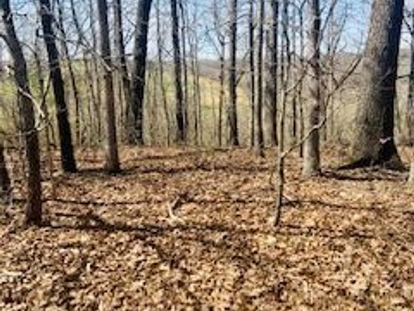 Whithorn Lane , Bella Vista, AR 72715