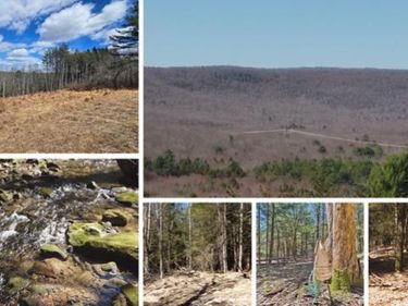 0 DIXON LANE, WHITE HAVEN, PA 18661