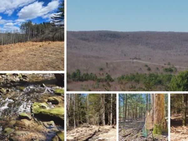 0 DIXON LANE , WHITE HAVEN, PA 18661