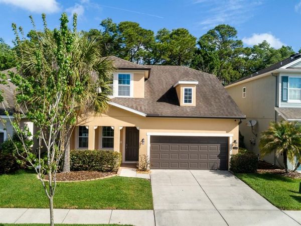 11604 QUIET FOREST DRIVE , TAMPA, FL 33635