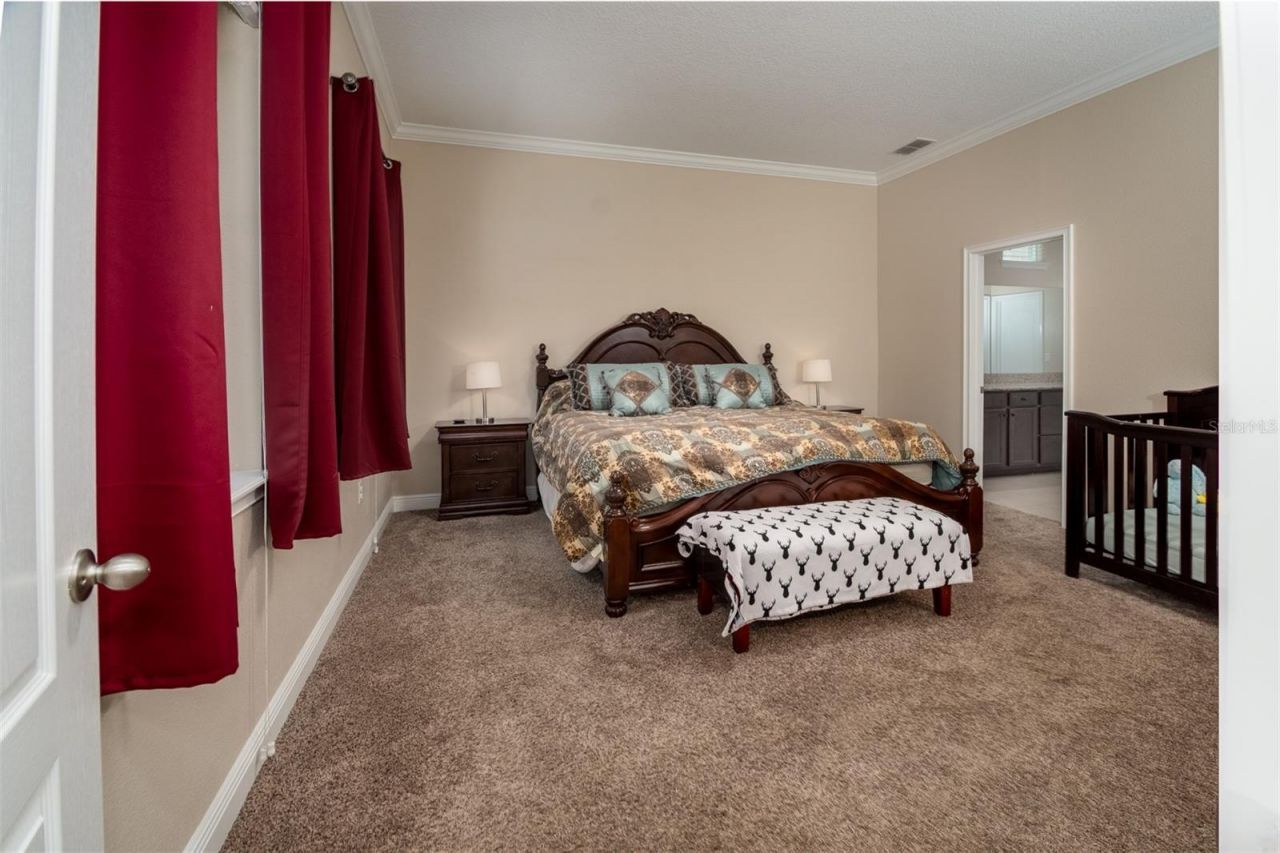 11604 Quiet Forest Drive, Tampa, FL 33635 Photo