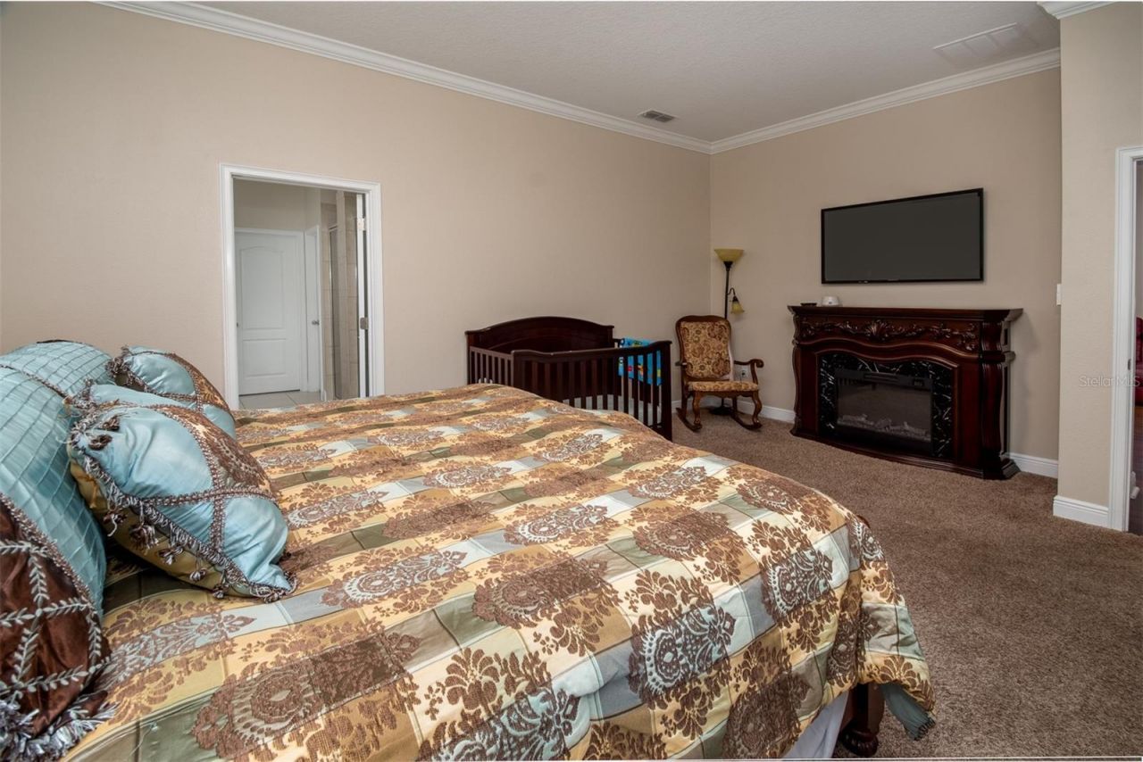 11604 Quiet Forest Drive, Tampa, FL 33635 Photo