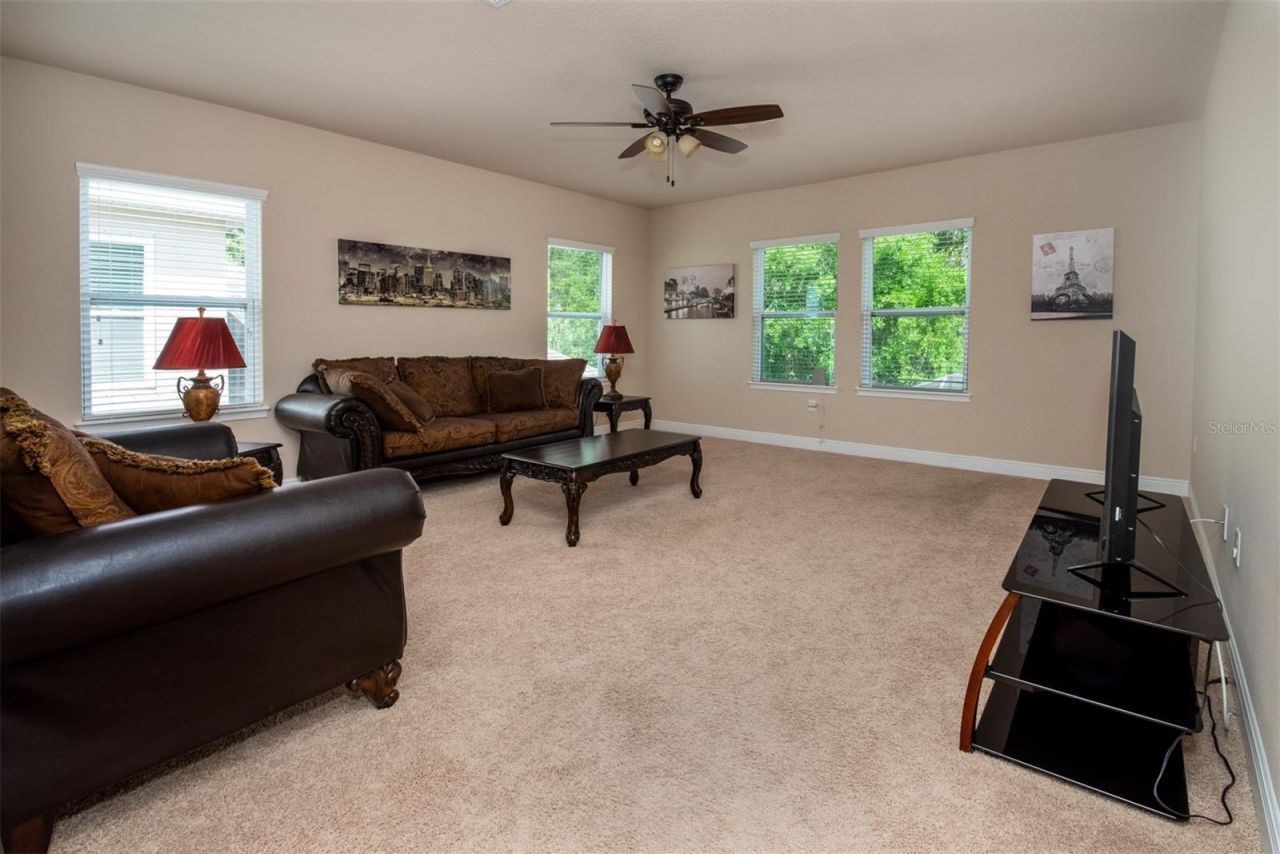 11604 Quiet Forest Drive, Tampa, FL 33635 Photo