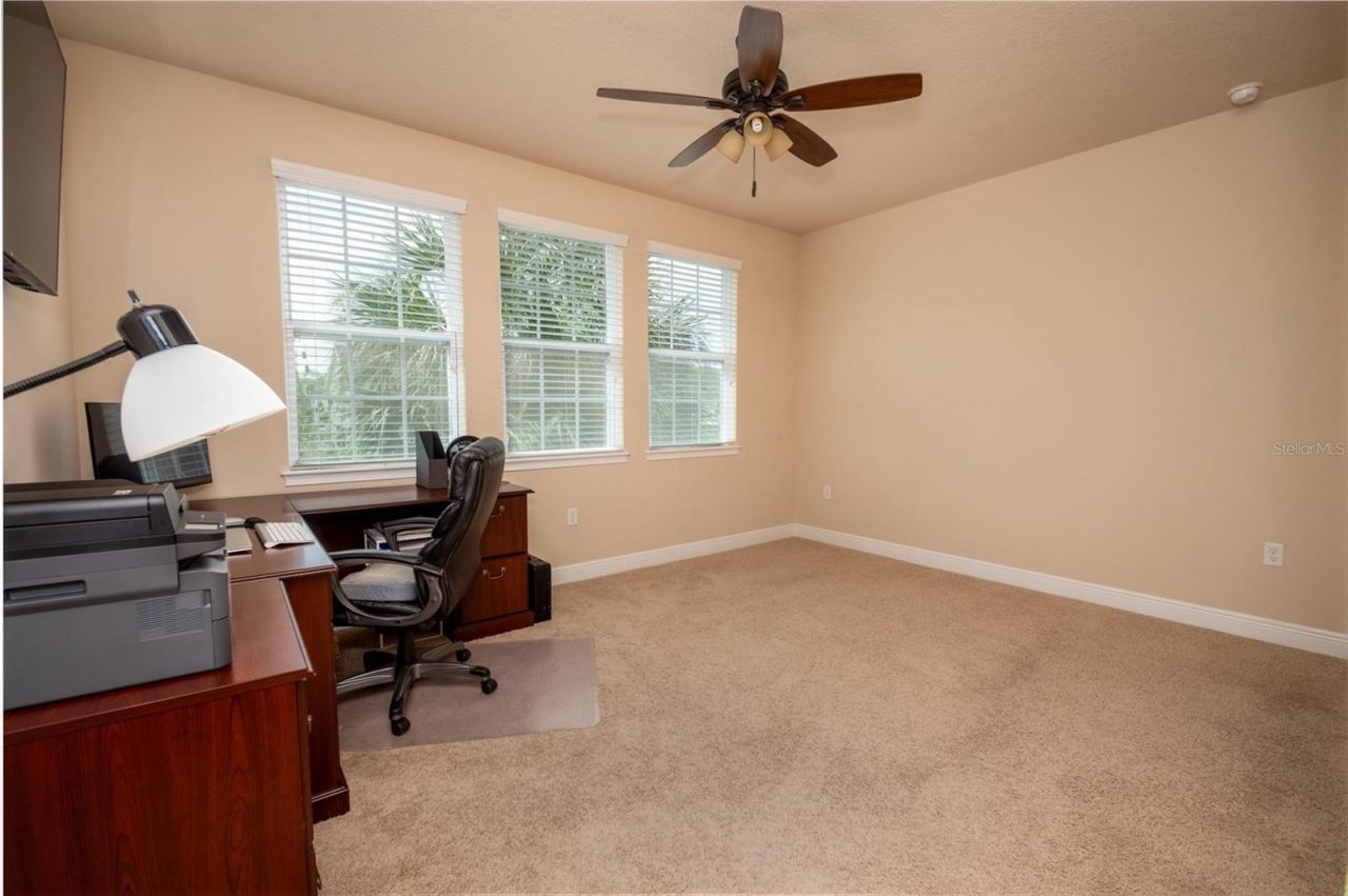 11604 Quiet Forest Drive, Tampa, FL 33635 Photo