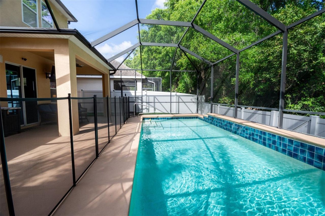 11604 Quiet Forest Drive, Tampa, FL 33635 Photo