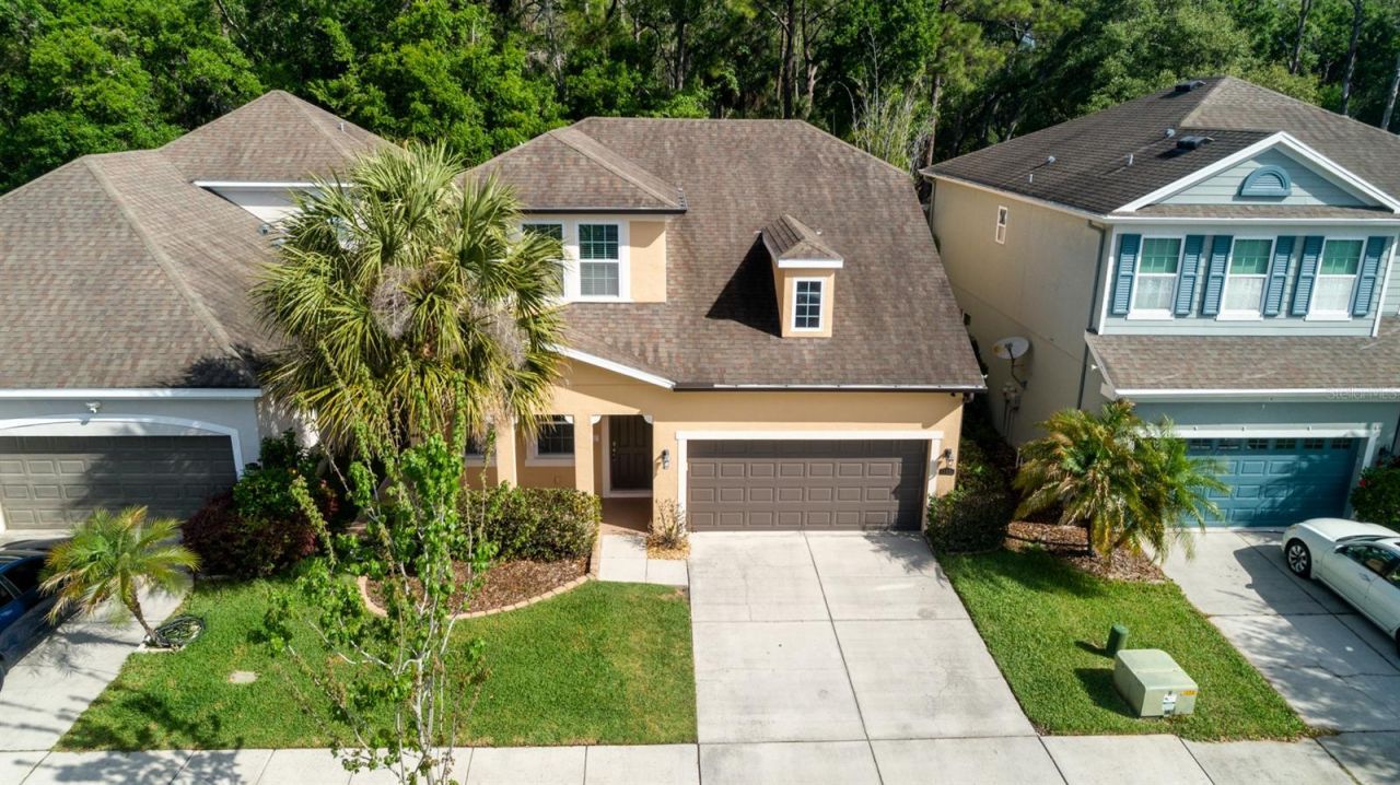 11604 Quiet Forest Drive, Tampa, FL 33635 Photo