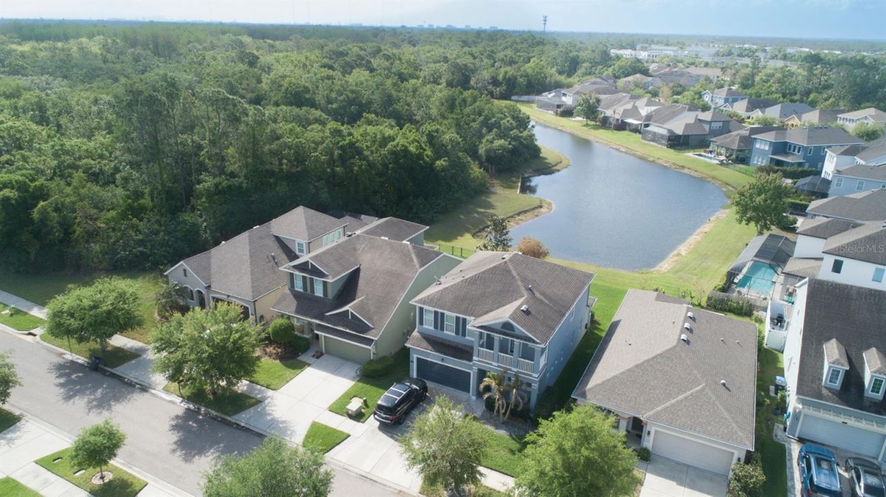 11604 Quiet Forest Drive, Tampa, FL 33635 Photo