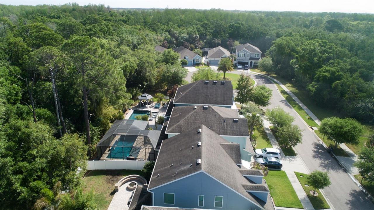 11604 Quiet Forest Drive, Tampa, FL 33635 Photo