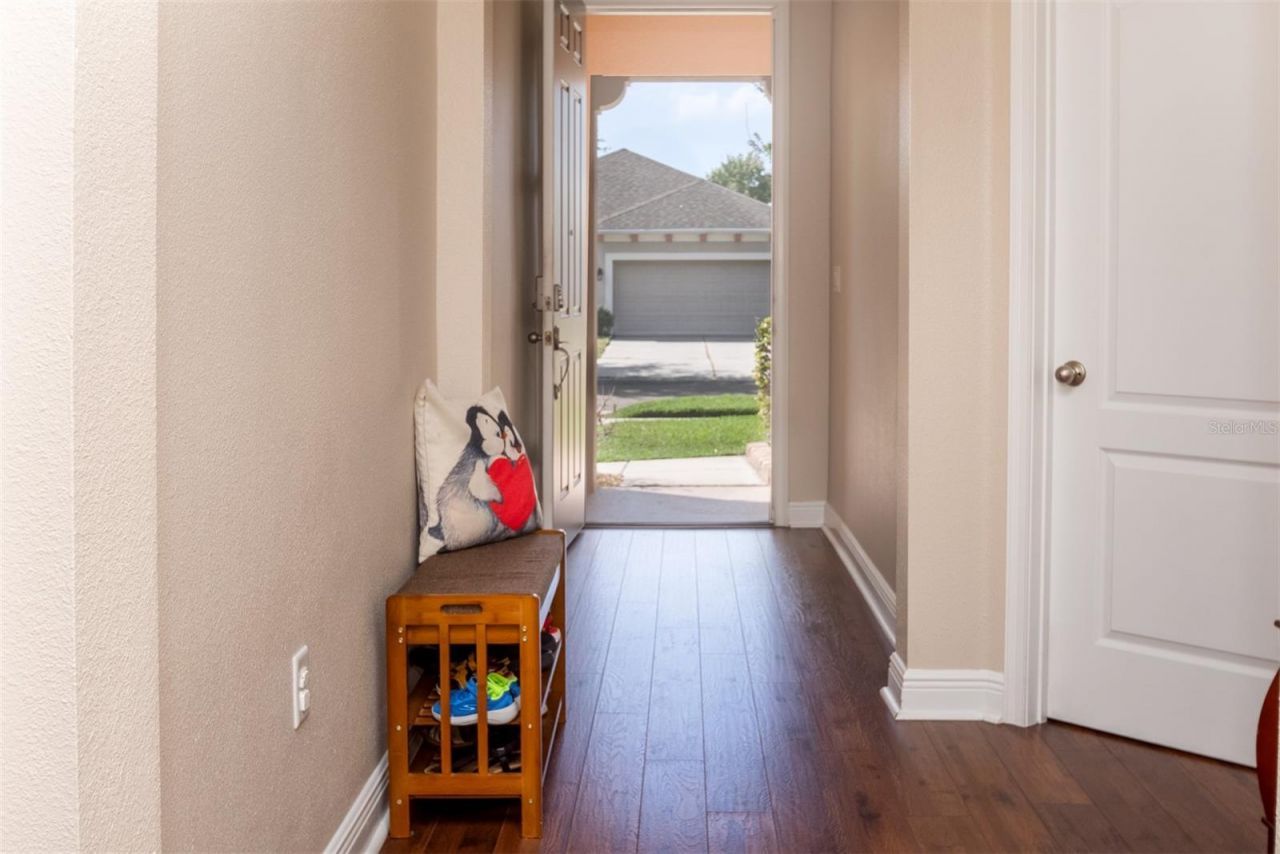 11604 Quiet Forest Drive, Tampa, FL 33635 Photo