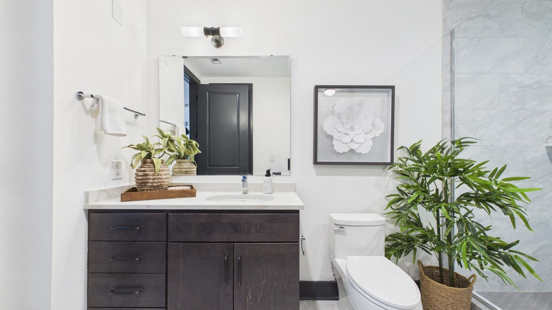 5 Gadsdenboro Street Photo 20