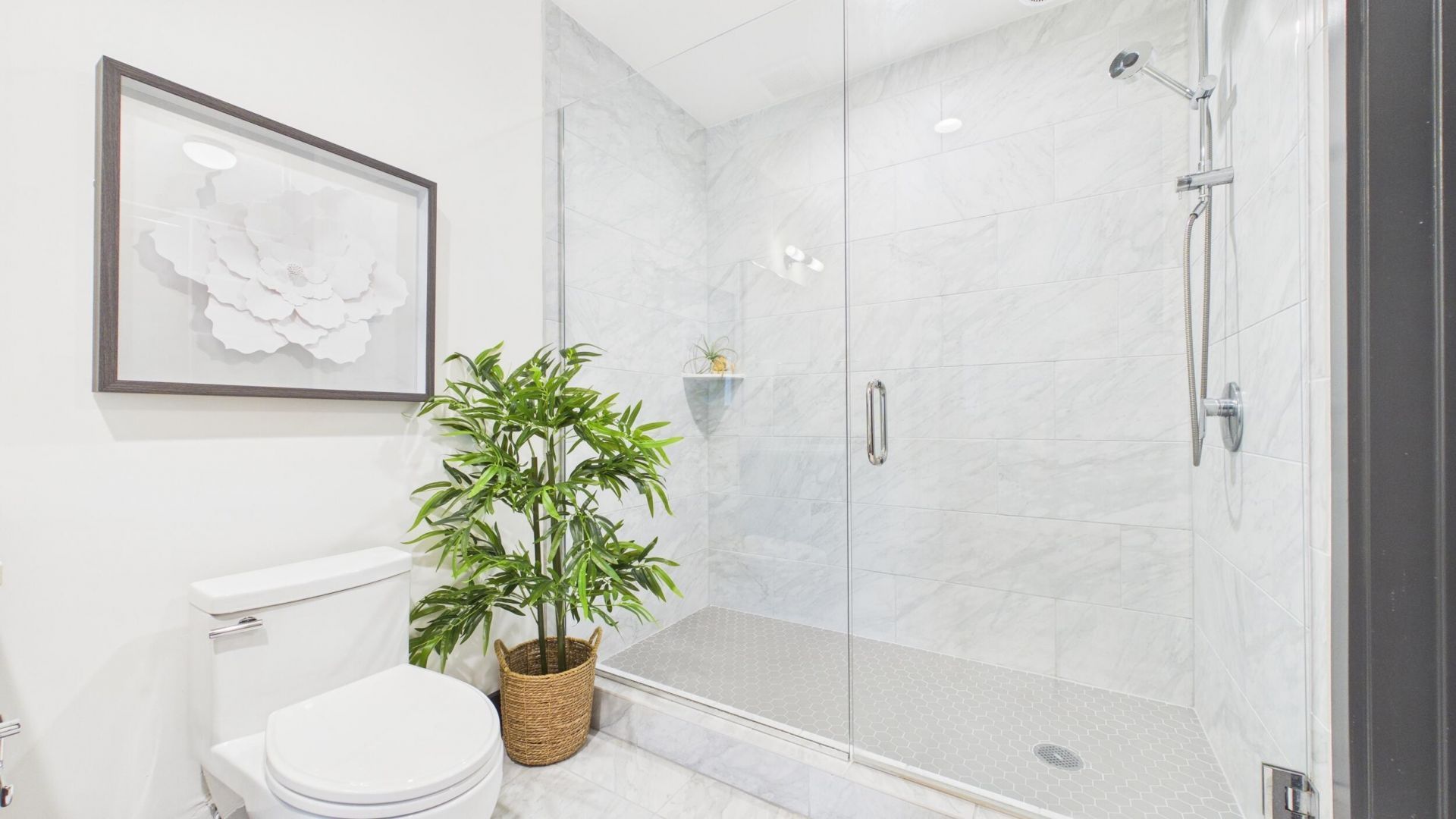 5 Gadsdenboro Street Photo 21