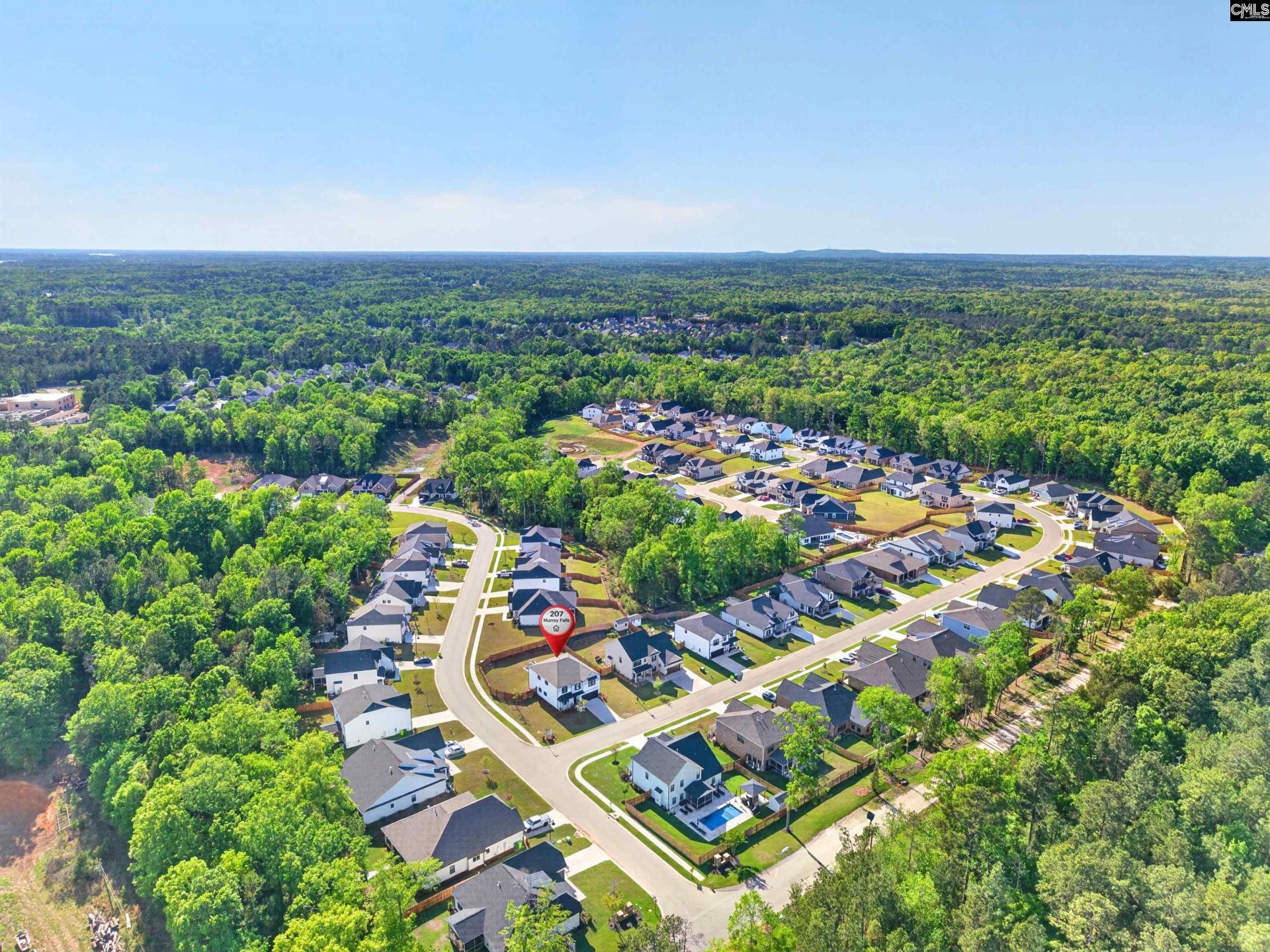 207 Murray Falls Lane  Photo 69