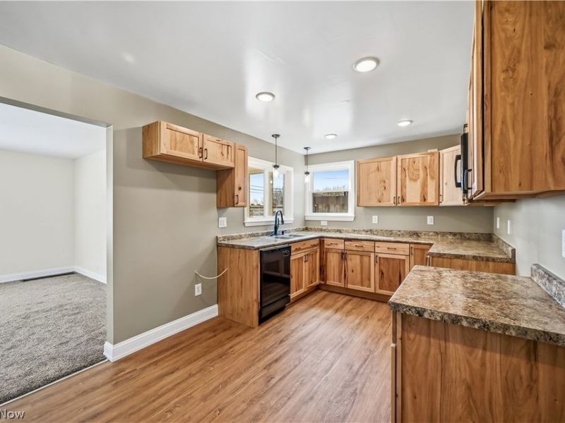 335 N 11th Street, Sebring, OH 44672 Photo 7