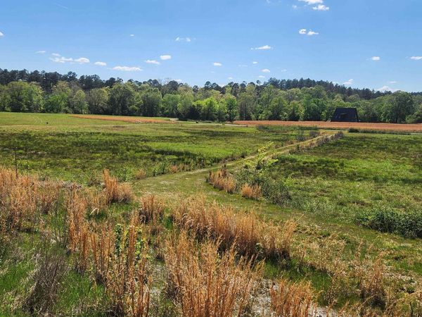 224 (Lot # 16) Reva's Way , Story, AR 71970