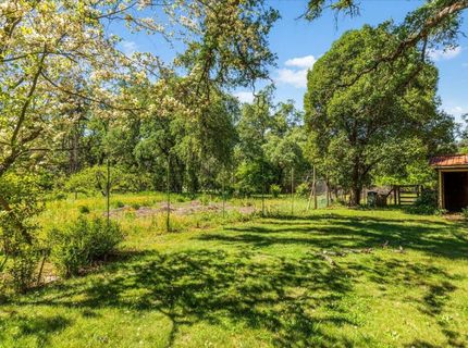 4539 Rattlesnake Bar Rd, Pilot Hill, CA 95664 Photo