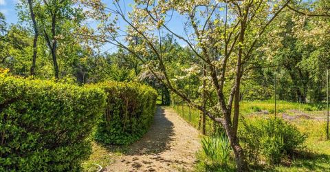 4539 Rattlesnake Bar Rd, Pilot Hill, CA 95664 Photo