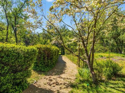 4539 Rattlesnake Bar Rd, Pilot Hill, CA 95664 Photo