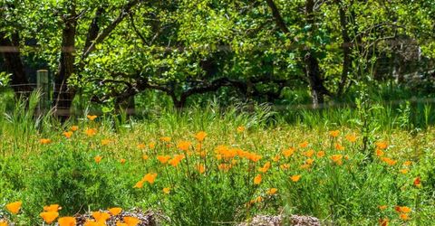 4539 Rattlesnake Bar Rd, Pilot Hill, CA 95664 Photo