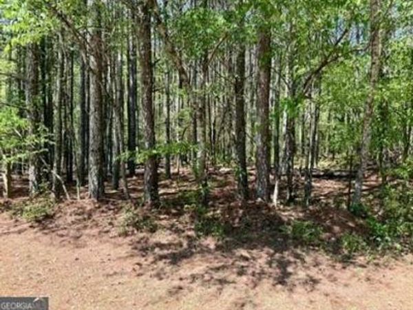 0 Haw Creek Drive, Cumming, GA 30041