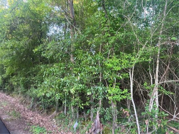 FAITH MISSION BAPTIST Road, Marksville, LA 71351