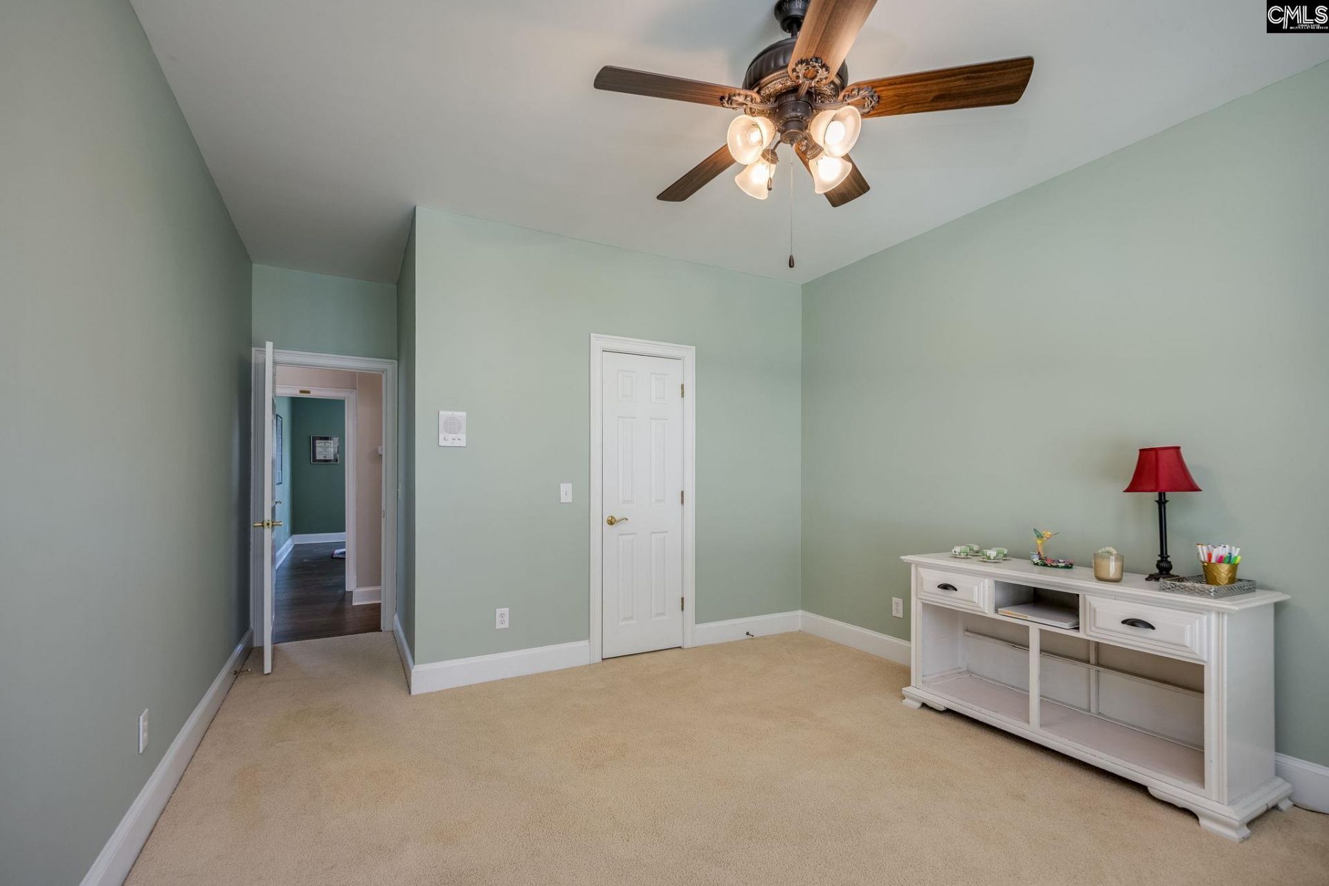 100 Birkdale Drive Photo 47