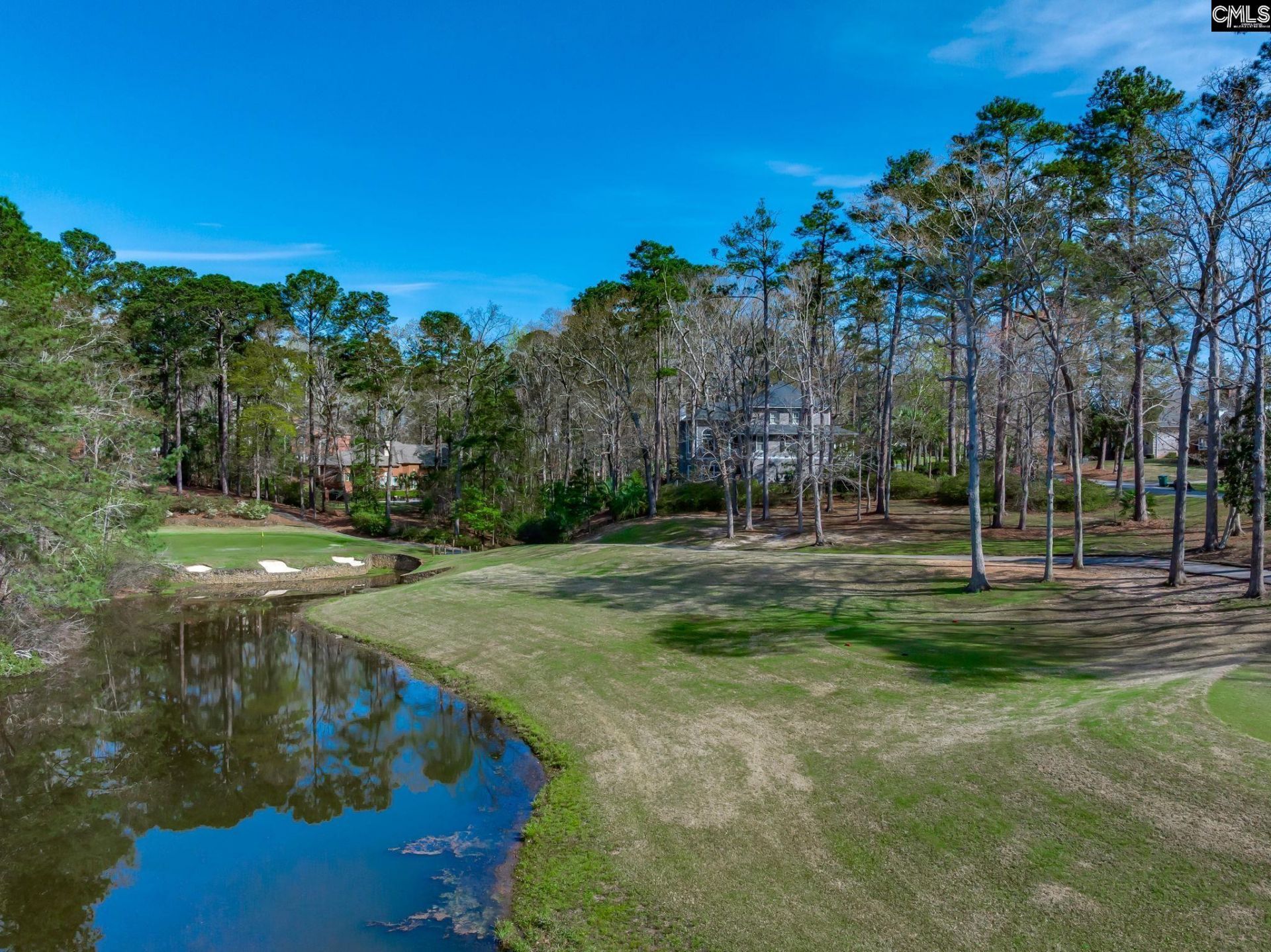 100 Birkdale Drive Photo 76