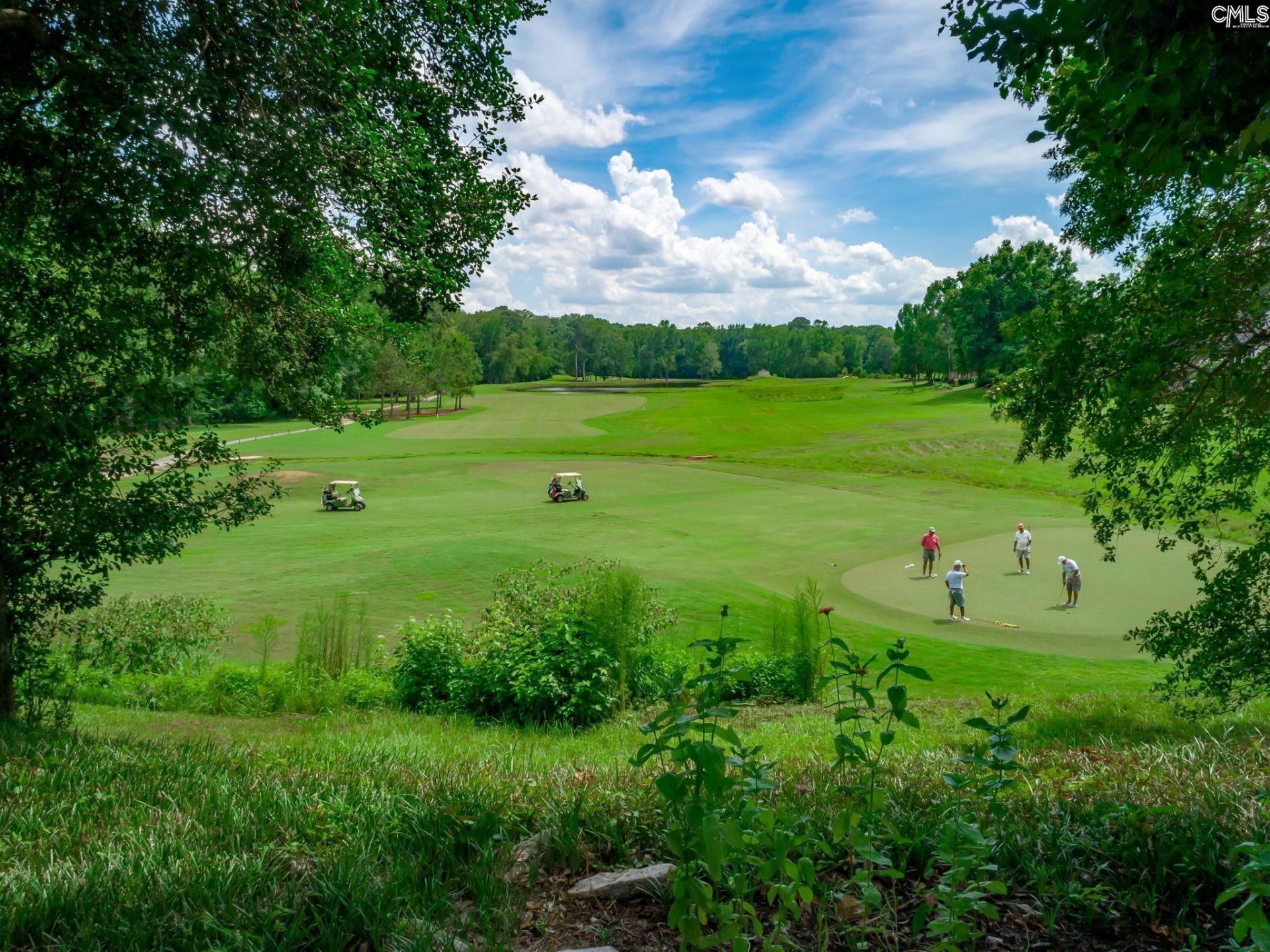 100 Birkdale Drive Photo 77