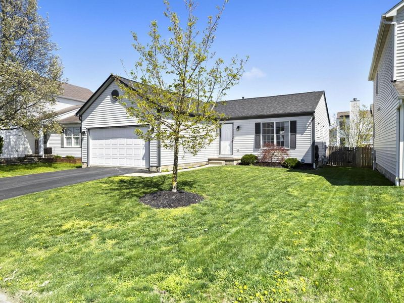 5532 Crenton Drive, Westerville, OH 43081 Photo 5