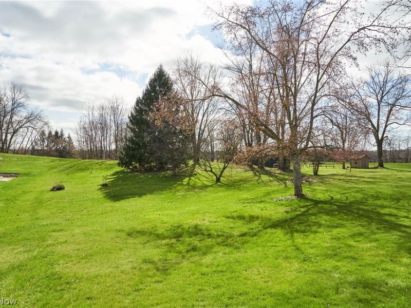 3165 Clark Mill Road , Norton, OH 44203 Photo 2