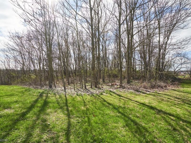 3165 Clark Mill Road , Norton, OH 44203 Photo 4