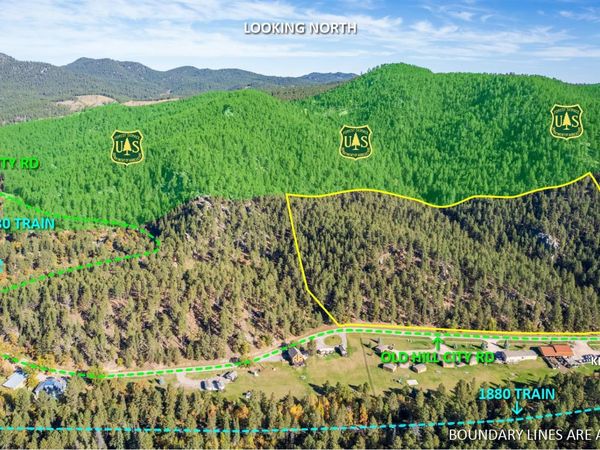 Lots 3 & 4 Old Hill City Road, Keystone, SD 57751