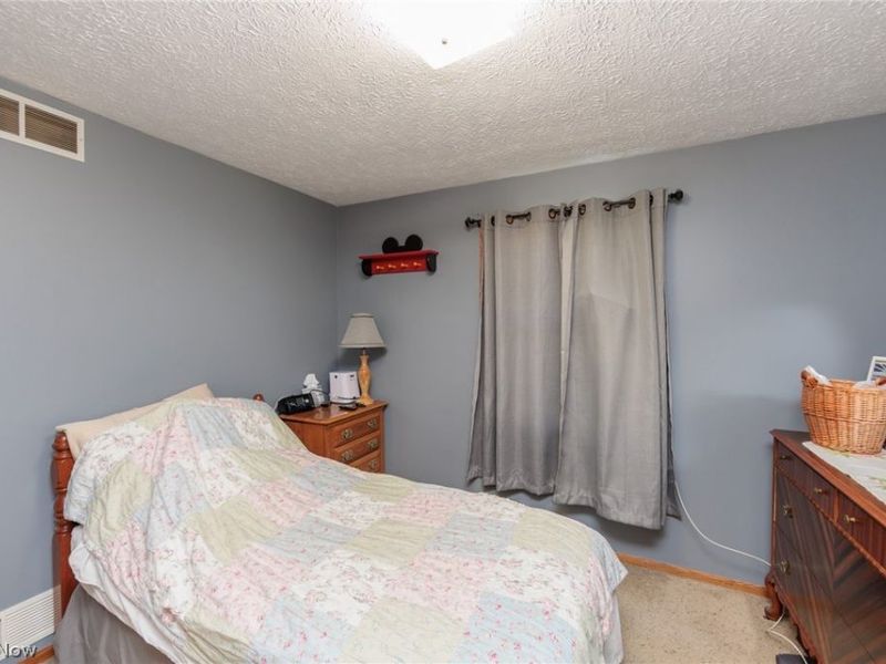 7310 Wolff Road , Medina, OH 44256 Photo 22