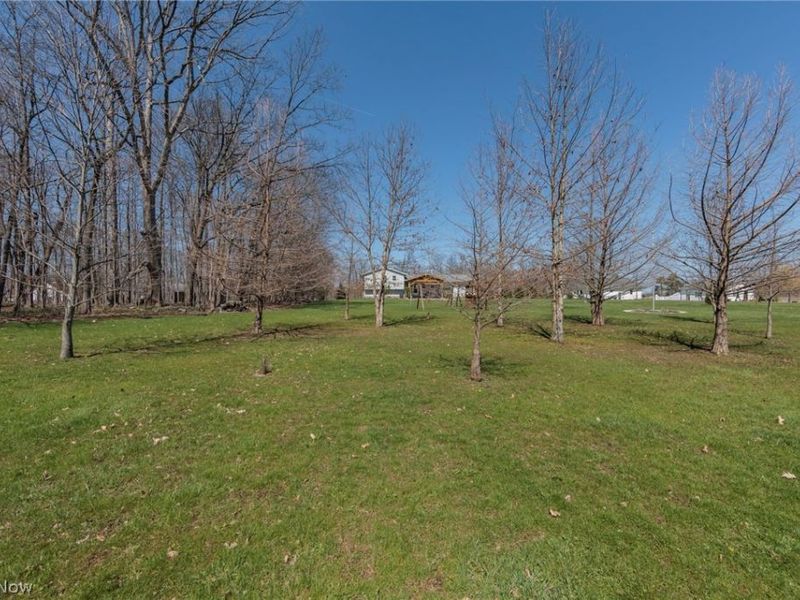 7310 Wolff Road , Medina, OH 44256 Photo 38